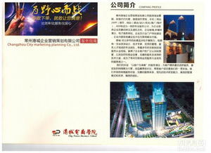 高端品牌策劃與VI設(shè)計 塑造企業(yè)形象的視覺之道