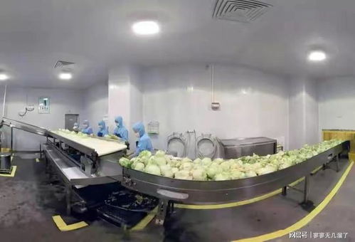 餐飲變革 工廠化預制菜與酒店管理咨詢服務的融合未來